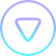 coin icon