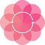 coin icon
