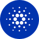 coin icon