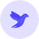 coin icon