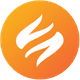 coin icon