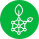 coin icon