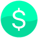 coin icon