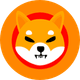 coin icon