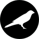 coin icon