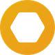 coin icon