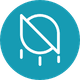 coin icon