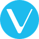 coin icon