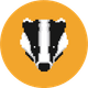 coin icon