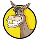 coin icon