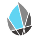 coin icon