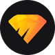 coin icon