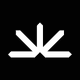 coin icon