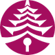 coin icon