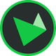 coin icon