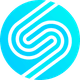 coin icon
