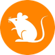 coin icon