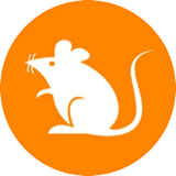 This is the logo of the coin.