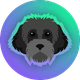 coin icon