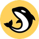 coin icon