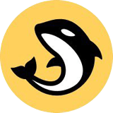 This is the logo of the coin.