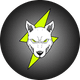 coin icon