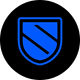 coin icon