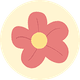 coin icon