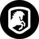 coin icon