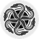 coin icon