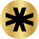 coin icon