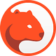 coin icon