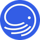 coin icon