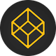 coin icon
