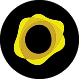 This is the logo of the coin.