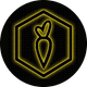 coin icon