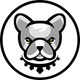coin icon