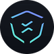 coin icon