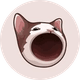 coin icon