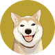 coin icon