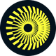coin icon