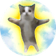 coin icon