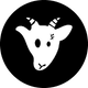 coin icon