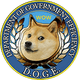 coin icon