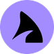coin icon