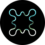 This is the logo of the coin.