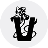 This is the logo of the coin.