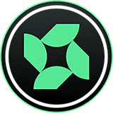This is the logo of the coin.