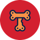 coin icon