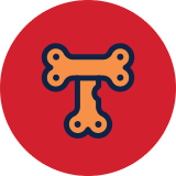 This is the logo of the coin.